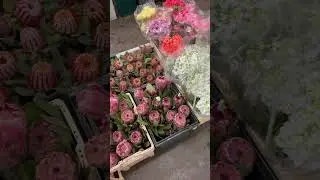 Обзор цветов на цветочной базе. Цены на цветы. Цветы и травы во флористике. Цветы и травы в букете