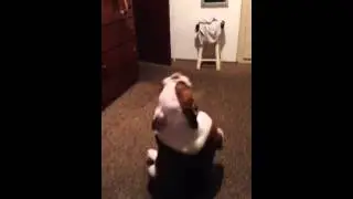 feliz aniversário fred!!!!!!