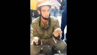 Superb puppies rescue thanks to firemen - SocializeME