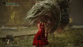 I Turned Dancing Lion Into a Scripted Fight | No Hit Fight | Elden Ring