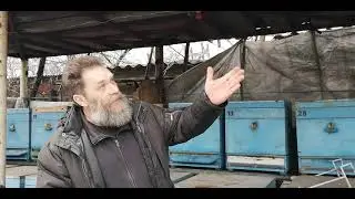 Навес для пчел. Нужен ли он?