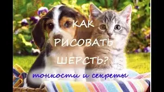 как РИСОВАТЬ ШЕРСТЬ?