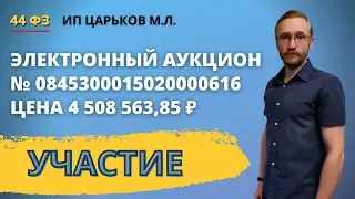 Участие в электронном аукционе на площадке Росэлторг. ИП Царьков № 0845300015020000616 от 20 11 2020