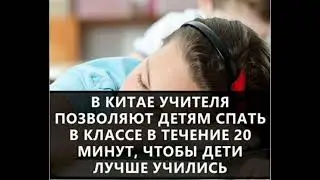 Забавные Факты