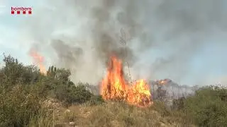 Incendi forestal a Artesa de Segre (Noguera) - 9 d'agost de 2024