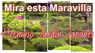 Un Hermoso Jardín Japonés 💚