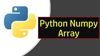 What is Python Numpy Array?