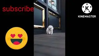 Funny animals 😍😍