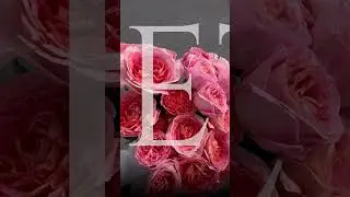А может вернуть тему флористики на канал?