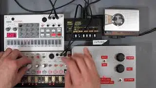 Volca Bass, Sample, Monotron, Tape - Bird Song Acid - Jamuary2020 Jan 20th