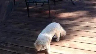 My sunny music porch