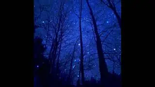 HUSSVRX - UNDER THE STARS