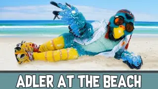 Adler at the Beach