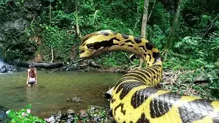 Top 5 Most Dangerous Biggest Snakes In the World - Facts About Snakes