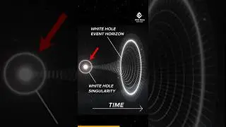 How White Holes Are Different From Black Holes?