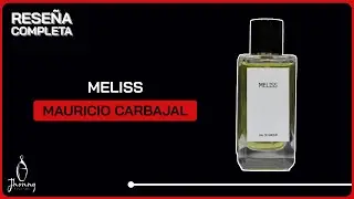 Meliss de Mauricio Carbajal - Reseña Completa