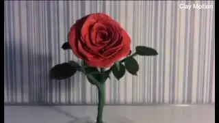rose plasticine