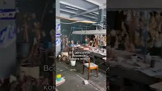 И такое почти в каждом заброшенном месте # 