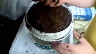 Como Hacer Semilleros GRATIS | Cultiva Tus Alimentos | La Huerta De Alber