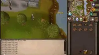 runescape f8g getting 99wc and 99wc guide