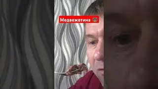 Медвежатина деликатесы 🐻