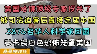 美国哈佛顶级专家赴中国投共！被司法迫害后直接定居中国！四年内3876名华人科学家选择回到中国，麦卡锡主义笼罩美国，美机构表示：中国正在失去中国科学家！