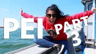Fishing for and Eating ALL the Lobster in PEI! |VLOG