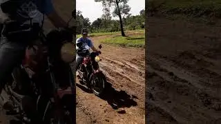 Deixar a cria com o Pai da NISSO 😳😳🤣 #fazenda #galinha #vidanocampo #vidanaroça