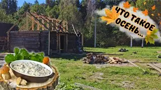 🌾Village Life: Starting Small, Dreaming Big👌 ISSUE 41