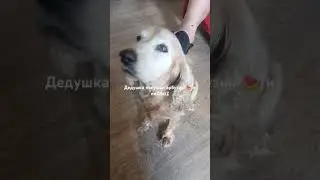 Покушал арбузик и пиZdetZ