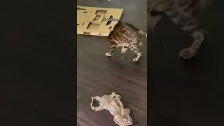 😂 