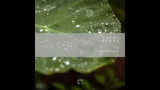 Indefinite Pitch podcast. Aural Theory 03 by Prylivy