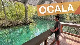 Ocala - USA :: What to do in Rainbow and Silver Springs, the closest springs to Orlando :: 3in3