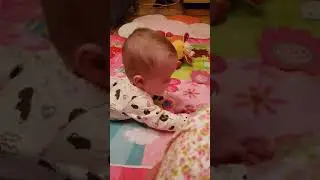 Вкусная бабочка