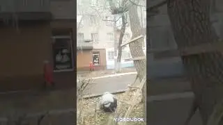 2 ноября 2022 г.