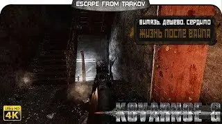 Escape from Tarkov - Витязь. Дёшево. Сердито.