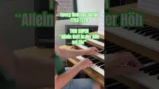This Baroque Chorale Prelude (Trio Super) for organ from Sorge sounds amazing!