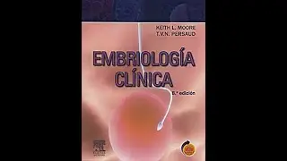 Embriología clínica Moore 8va ed PDF gratis link directo