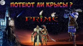 Prime World - Крысолов. Потеют ли крысы в 2019?