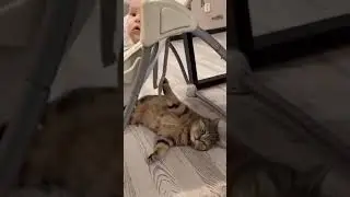 Котик качает ребенка