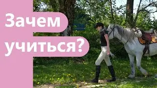 Зачем ходить в конную школу?