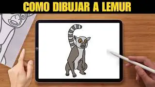 Como Dibujar Lemur | Flow | Paso a Paso