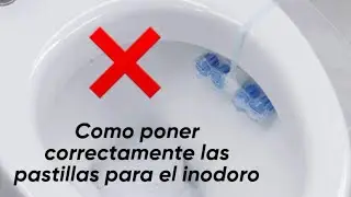 Como poner correctamente las pastillas para inodoro- baño