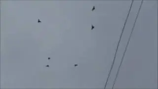 Мой фильм 1  57
