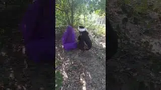 अवधी कमेड़ी ।। बजरंगी के मेहरारू हेराई गई।।#shorts  #shortshorts #comedyshsvideo #अवधीकॉमेडी