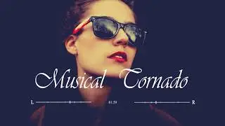 Dj Vianu - Driving Me Crazy (Ovidiu Lupu Remix)