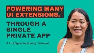 Powering Multiple UI Extensions Through a Single Private App