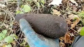 Коп по войне. Ближние сады.Часть 2.