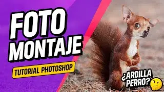 Photomontage of two animals, video tutorial // Photoshop well explained