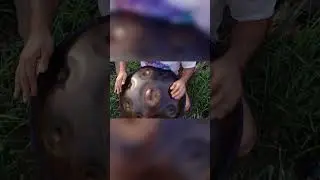 окские ханги медитация на природе 2
